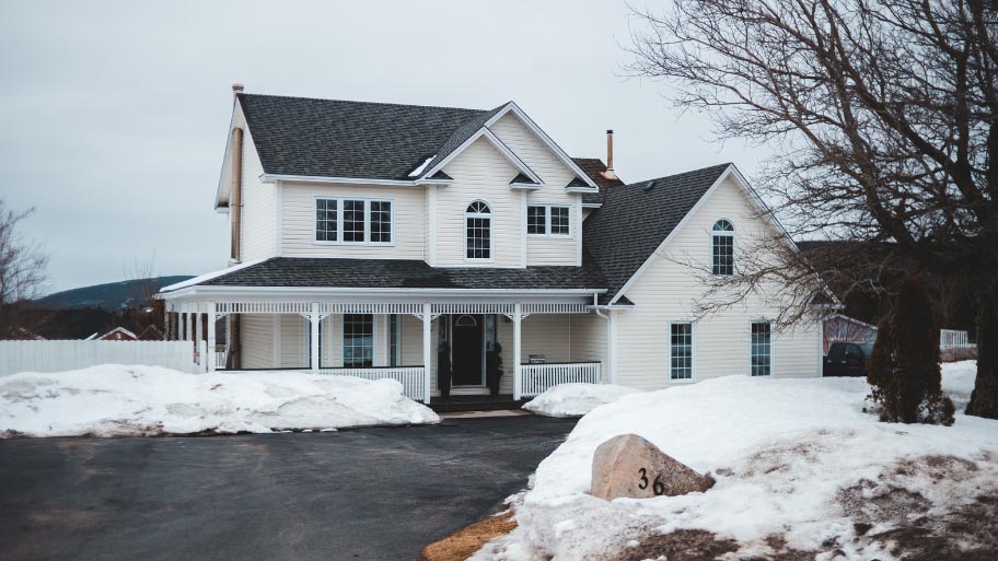 Roof mold - Signs You Need a Roof Replacement