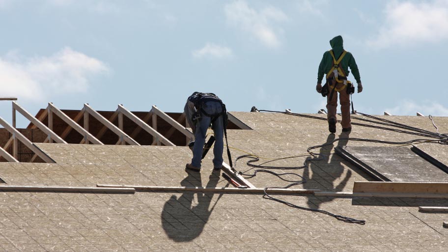 Roof mold - Signs You Need a Roof Replacement