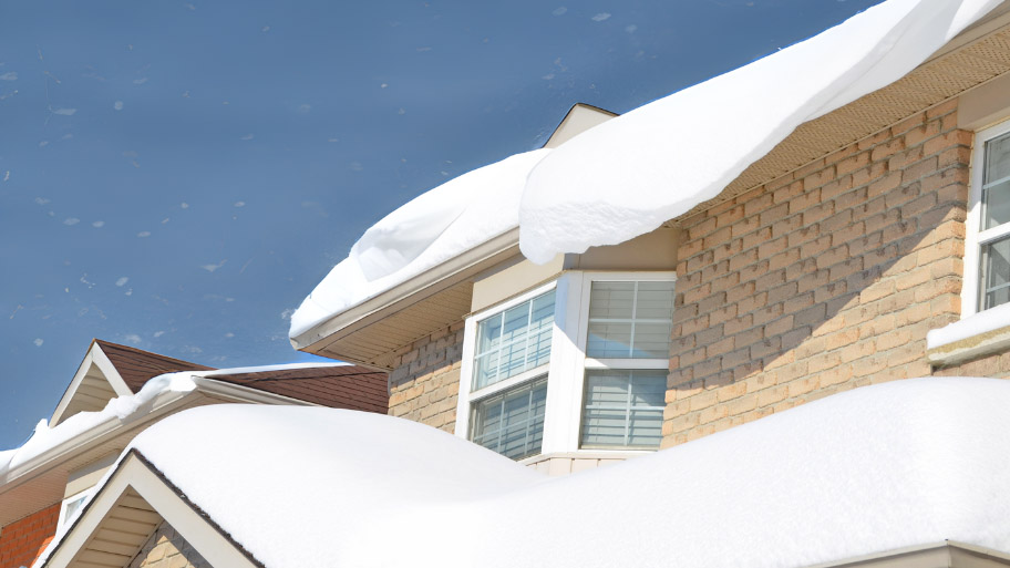 Roof mold - Signs You Need a Roof Replacement