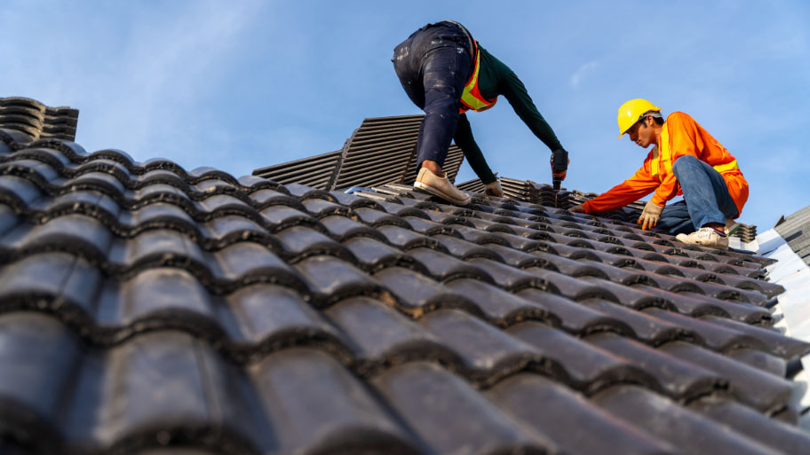 Roof mold - Signs You Need a Roof Replacement