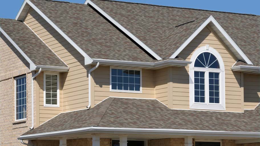 Roof mold - Signs You Need a Roof Replacement
