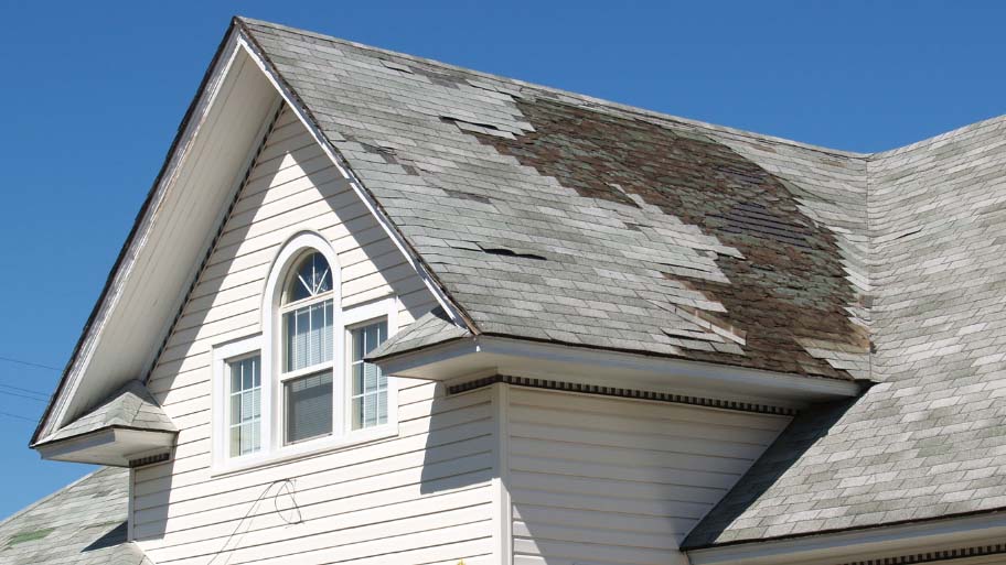 Roof mold - Signs You Need a Roof Replacement