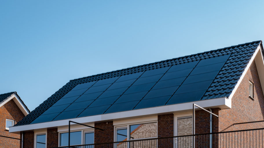 Roof mold - Signs You Need a Roof Replacement